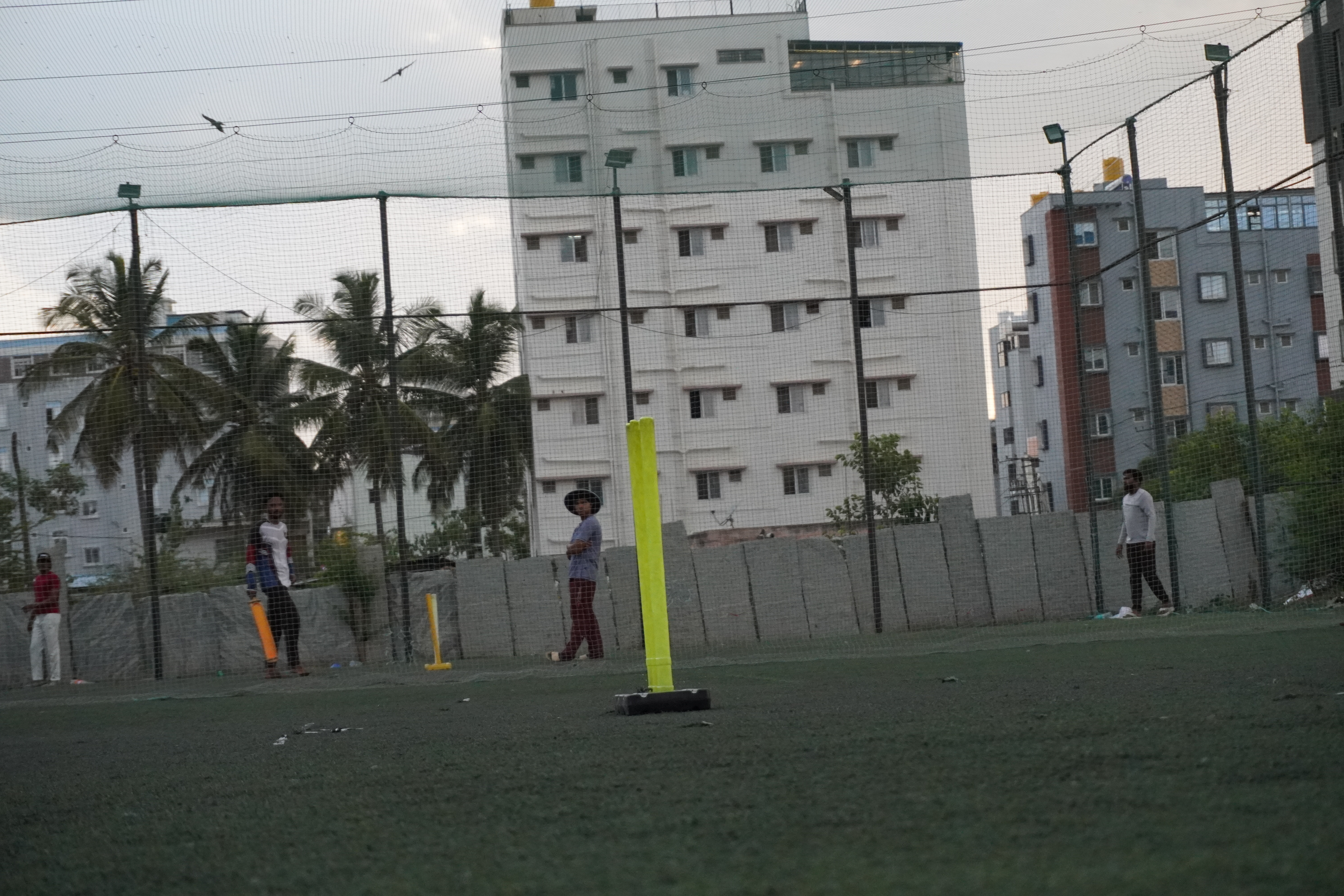 Indoor cricket photo