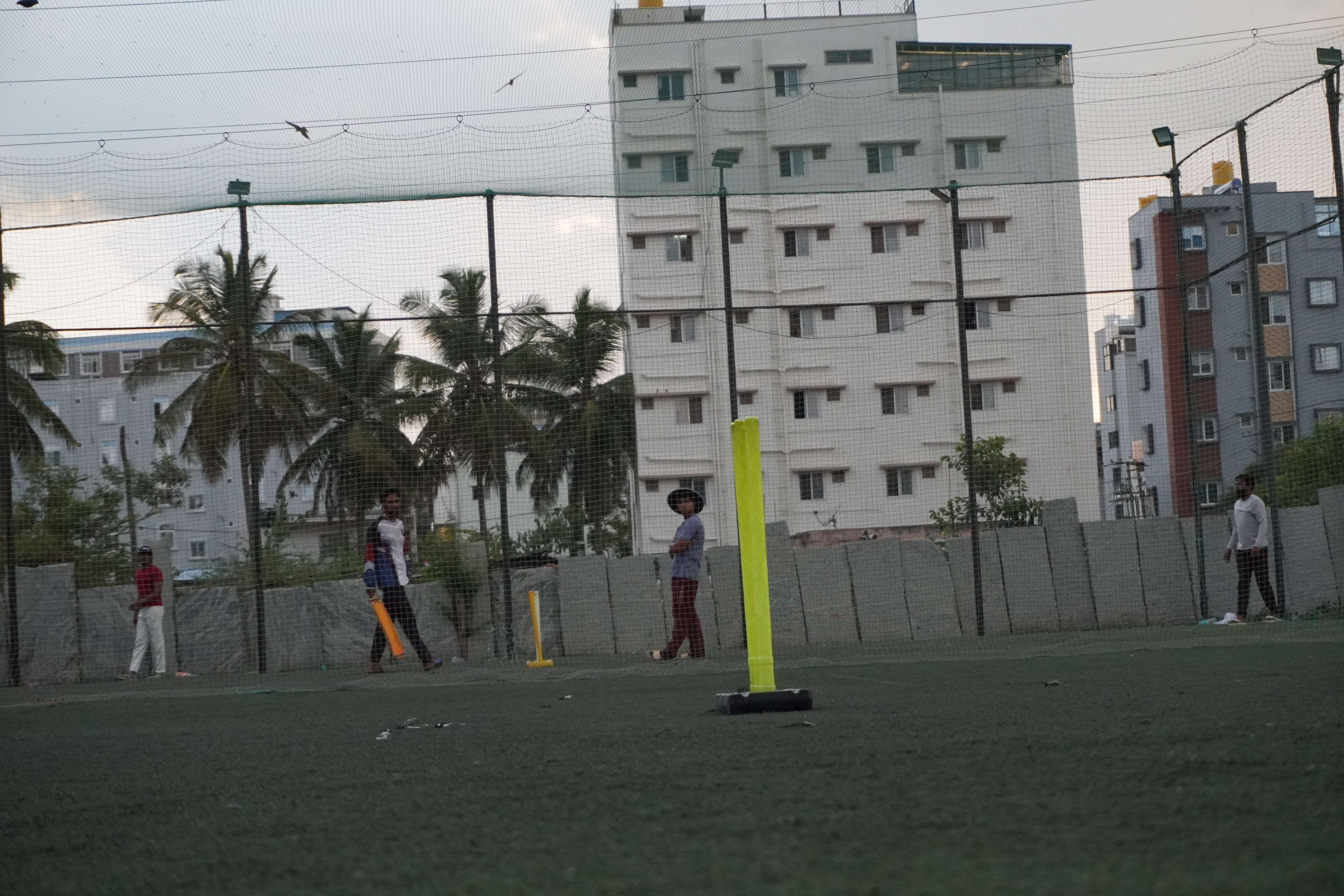 Indoor cricket photo