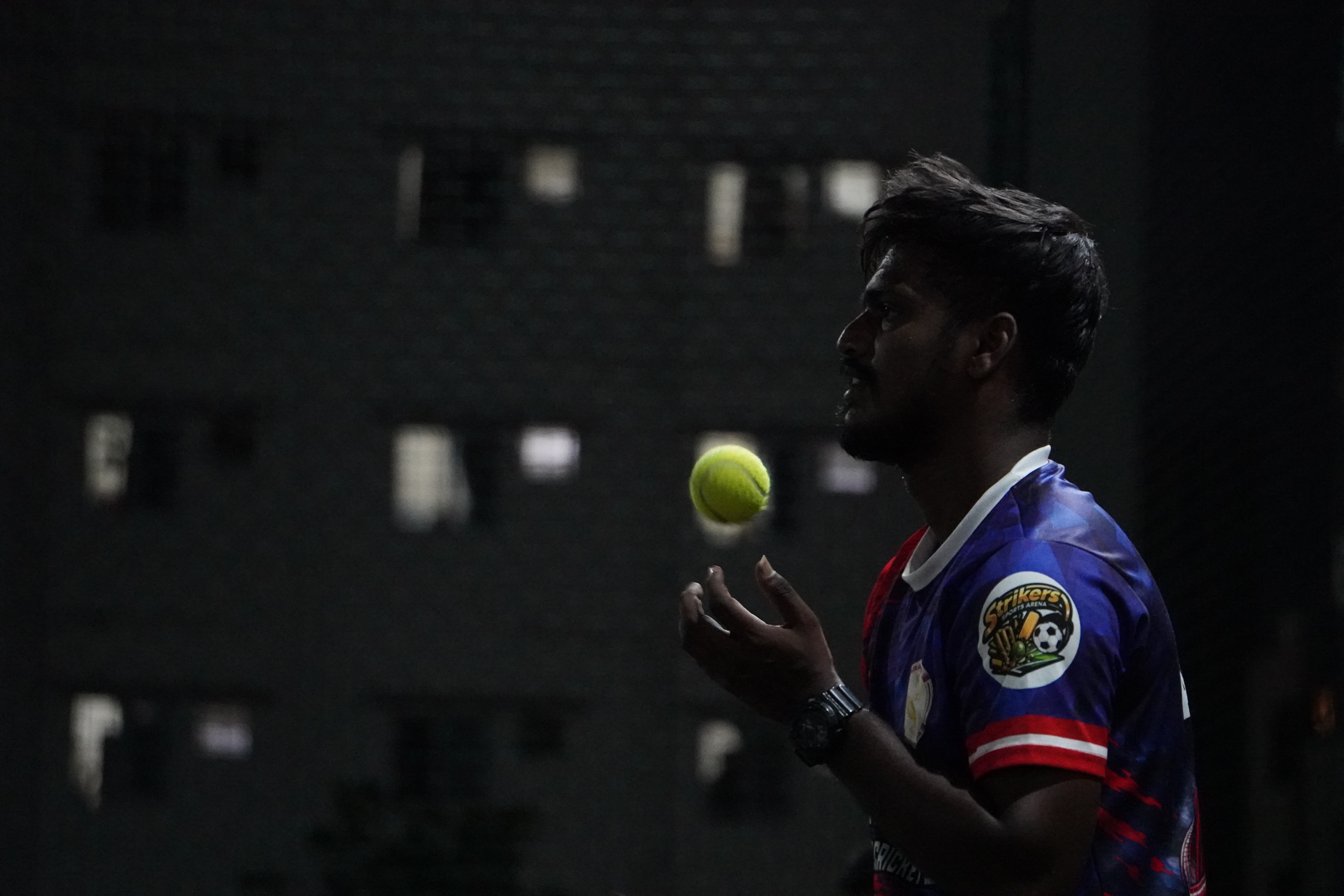 Indoor cricket photo
