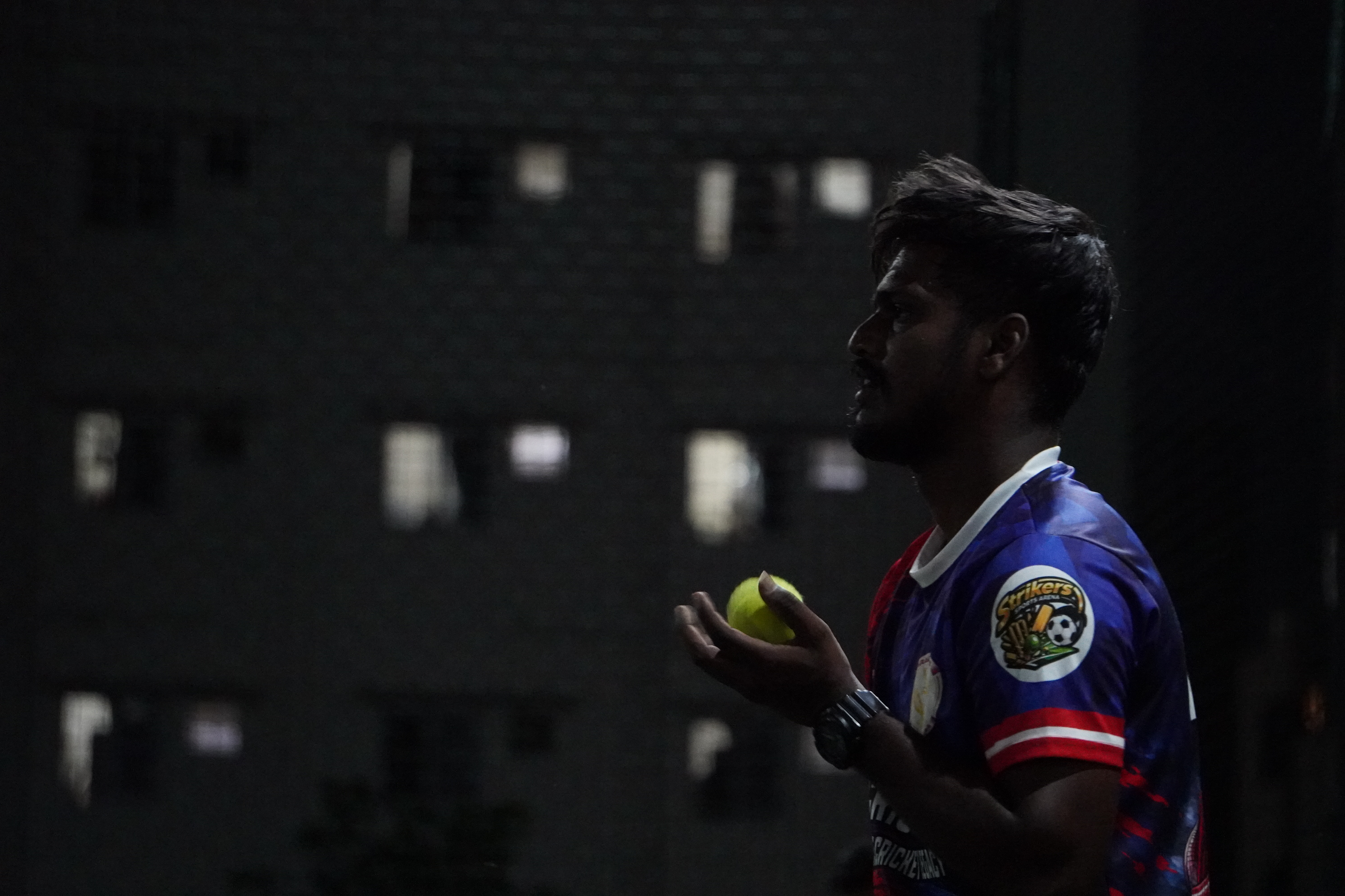 Indoor cricket photo